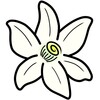 华为好望企业版