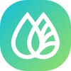 麻豆传媒mv视屏正式版